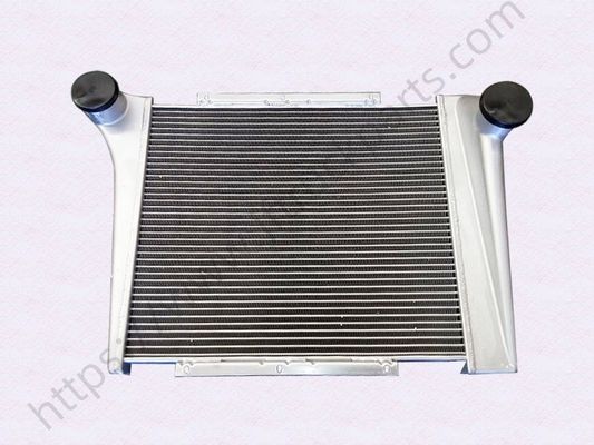 comprare SHACMAN F2000 F3000 X3000 H3000 X5000 X6000 L5000 ricambi camion Supercharge Intercooler DZ9218530101 fabbricazione online