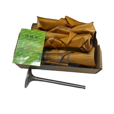 comprare Ricambi originali per camion di alta qualità 4995554 4994143 Valvole di aspirazione e scarico Accessori per Dongfeng 6W Modello B19033 fabbricazione online