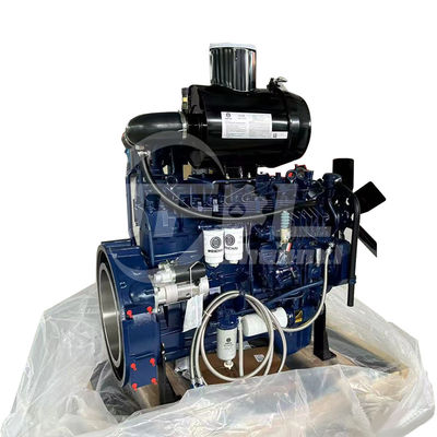 WEICHAI Motor assembly WP6G175E22 6P23G021757 per vari caricatori